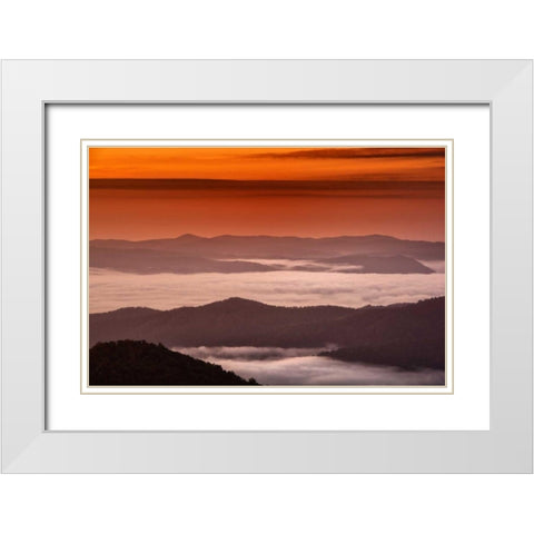 North Carolina, Brevard Landscape in Pisgah NF White Modern Wood Framed Art Print with Double Matting by OBrien, Jay
