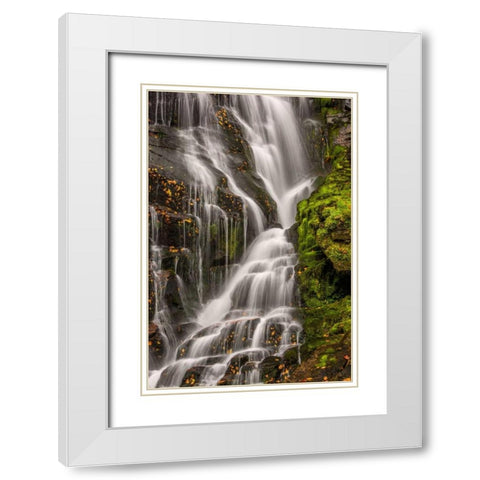 North Carolina, Brevard Waterfall in DuPont SF White Modern Wood Framed Art Print with Double Matting by OBrien, Jay
