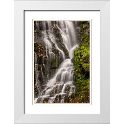 North Carolina, Brevard Waterfall in DuPont SF White Modern Wood Framed Art Print with Double Matting by OBrien, Jay