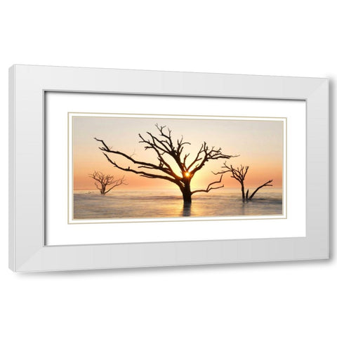 North Carolina Sunrise at Botany Bay Preserve White Modern Wood Framed Art Print with Double Matting by Bush, Marie