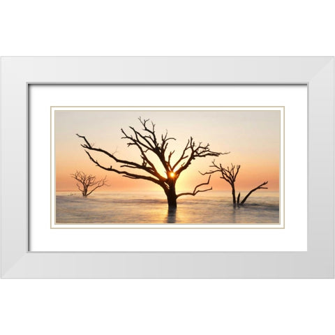 North Carolina Sunrise at Botany Bay Preserve White Modern Wood Framed Art Print with Double Matting by Bush, Marie