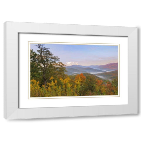USA, North Carolina Black Mountains overlook White Modern Wood Framed Art Print with Double Matting by Paulson, Don