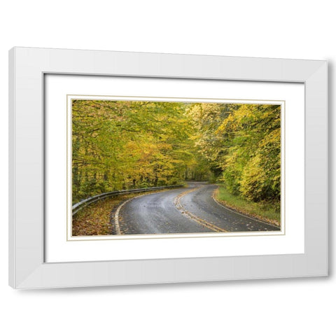 North Carolina Road through autumn forest White Modern Wood Framed Art Print with Double Matting by Paulson, Don