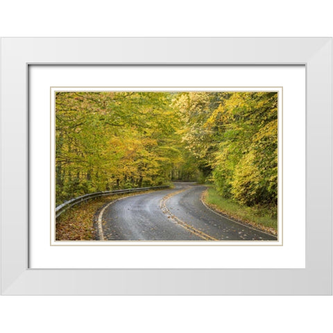 North Carolina Road through autumn forest White Modern Wood Framed Art Print with Double Matting by Paulson, Don