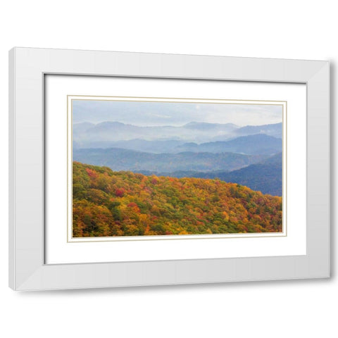 North Carolina, Blue Ridge Parkway Overlook White Modern Wood Framed Art Print with Double Matting by Paulson, Don