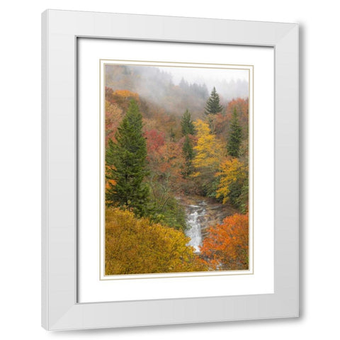 North Carolina, Bubbling Springs Falls in Autumn White Modern Wood Framed Art Print with Double Matting by Paulson, Don