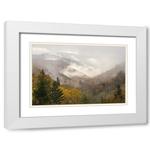 North Carolina, Great Smoky Mts Autumn landscape White Modern Wood Framed Art Print with Double Matting by Paulson, Don