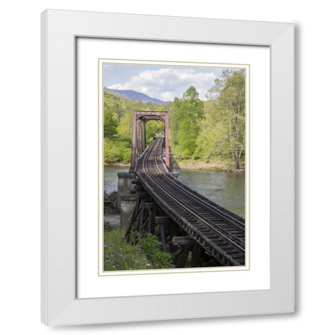North Carolina Abandoned railroad trestle White Modern Wood Framed Art Print with Double Matting by Grall, Don
