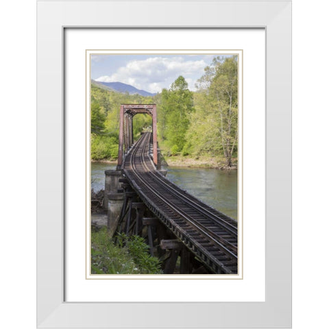 North Carolina Abandoned railroad trestle White Modern Wood Framed Art Print with Double Matting by Grall, Don