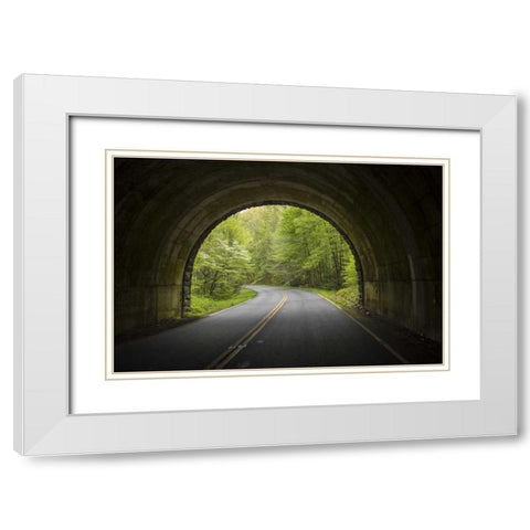 North Carolina Tunnel on the Blue Ridge Parkway White Modern Wood Framed Art Print with Double Matting by Grall, Don