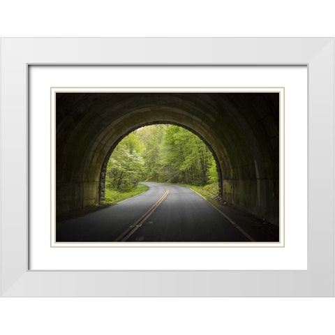 North Carolina Tunnel on the Blue Ridge Parkway White Modern Wood Framed Art Print with Double Matting by Grall, Don