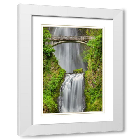 Multnomah Falls-Columbia River Gorge-Oregon White Modern Wood Framed Art Print with Double Matting by Jones, Adam