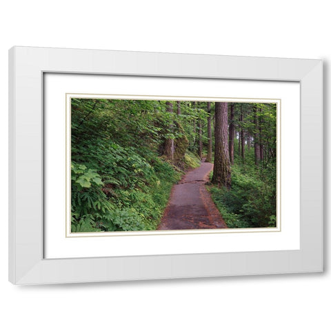 Paved pathway through forest-Columbia River Gorge-Oregon White Modern Wood Framed Art Print with Double Matting by Jones, Adam