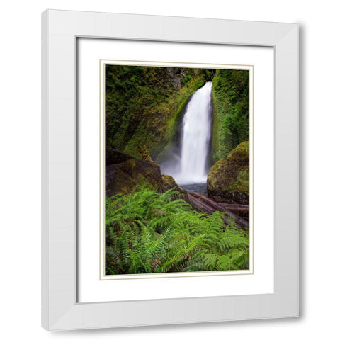 Wahclella Falls along Tanner Creek-Columbia River Gorge-Oregon White Modern Wood Framed Art Print with Double Matting by Jones, Adam