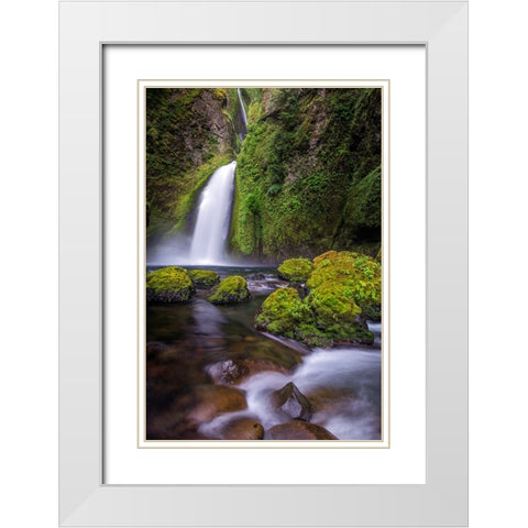 Wahclella Falls along Tanner Creek-Columbia River Gorge-Oregon White Modern Wood Framed Art Print with Double Matting by Jones, Adam
