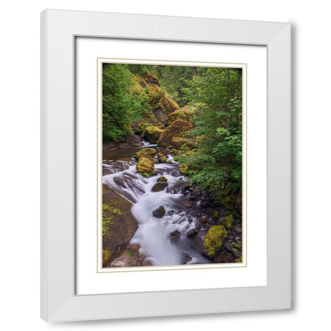 Tanner Creek-Columbia River Gorge-Oregon White Modern Wood Framed Art Print with Double Matting by Jones, Adam