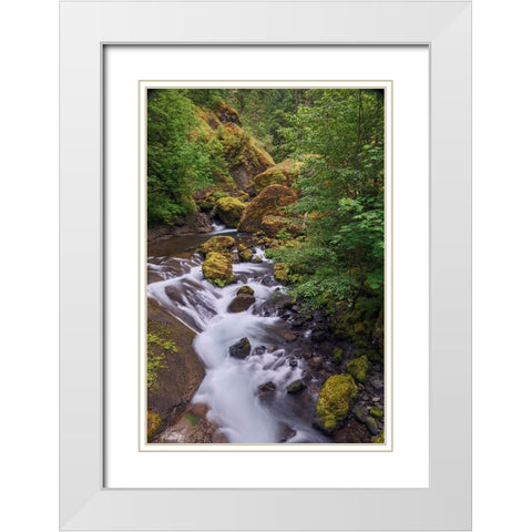 Tanner Creek-Columbia River Gorge-Oregon White Modern Wood Framed Art Print with Double Matting by Jones, Adam