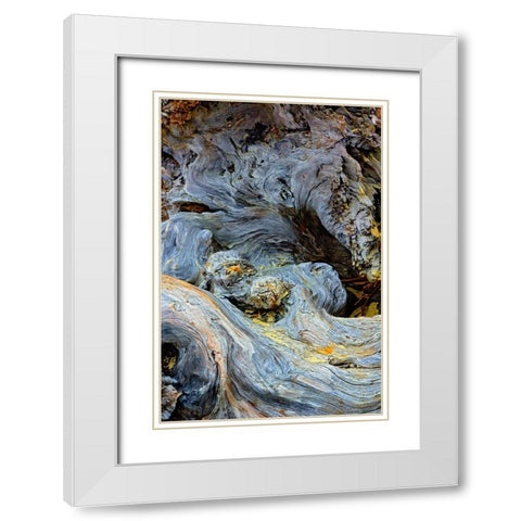 Abstract pattern in driftwood-Bandon Beach-Oregon White Modern Wood Framed Art Print with Double Matting by Jones, Adam