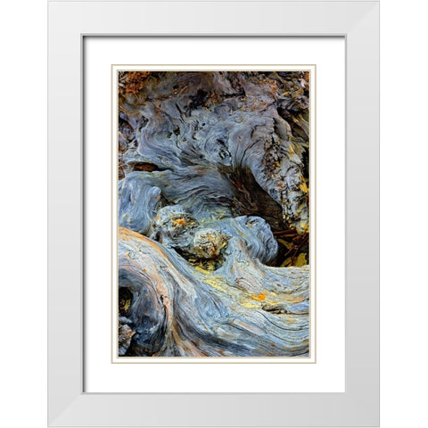 Abstract pattern in driftwood-Bandon Beach-Oregon White Modern Wood Framed Art Print with Double Matting by Jones, Adam