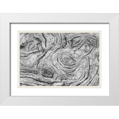 Geometric pattern in eroded driftwood-Bandon Beach-Oregon White Modern Wood Framed Art Print with Double Matting by Jones, Adam