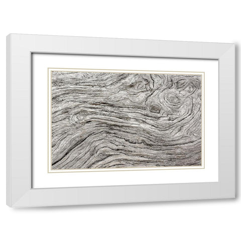 Geometric pattern in eroded driftwood-Bandon Beach-Oregon White Modern Wood Framed Art Print with Double Matting by Jones, Adam