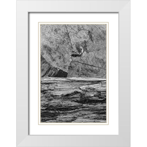 Geometric pattern in eroded driftwood-Bandon Beach-Oregon White Modern Wood Framed Art Print with Double Matting by Jones, Adam