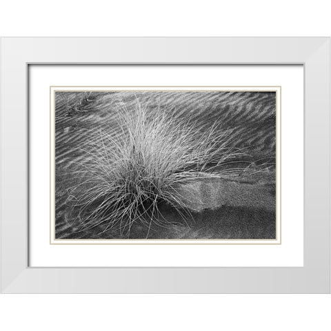 Grass pattern-Bandon-Oregon White Modern Wood Framed Art Print with Double Matting by Jones, Adam