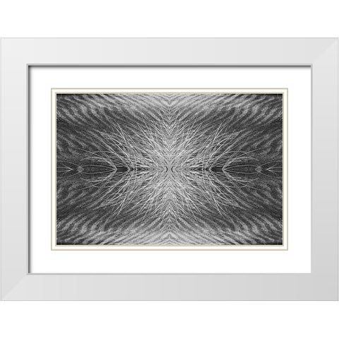 Grass pattern reflected and flipped-Bandon-Oregon White Modern Wood Framed Art Print with Double Matting by Jones, Adam