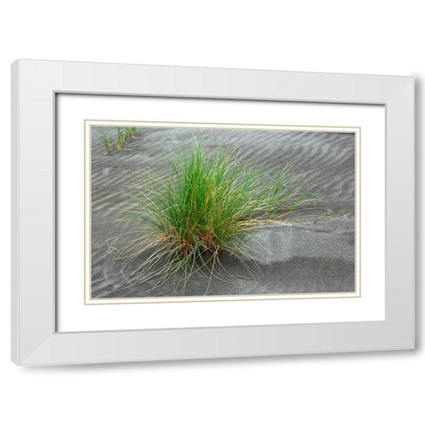 Grass pattern-Bandon-Oregon White Modern Wood Framed Art Print with Double Matting by Jones, Adam