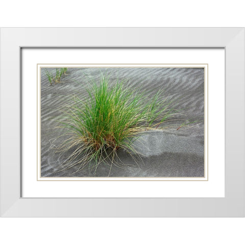 Grass pattern-Bandon-Oregon White Modern Wood Framed Art Print with Double Matting by Jones, Adam
