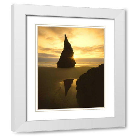 OR, Bandon Beach, Sunset silhouettes seabird White Modern Wood Framed Art Print with Double Matting by Terrill, Steve