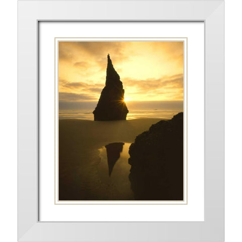 OR, Bandon Beach, Sunset silhouettes seabird White Modern Wood Framed Art Print with Double Matting by Terrill, Steve