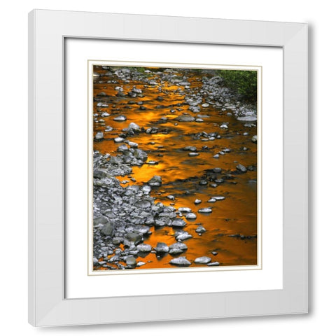 OR, Columbia Gorge, Multnomah Creek White Modern Wood Framed Art Print with Double Matting by Terrill, Steve
