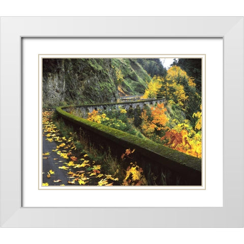 OR, Columbia Gorge, Columbia River Highway White Modern Wood Framed Art Print with Double Matting by Terrill, Steve