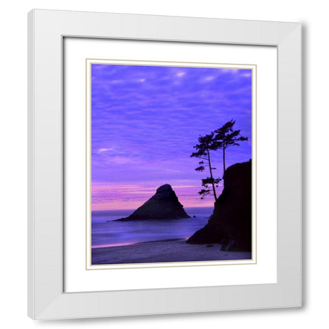 OR, Devils Elbow SP, Sunset over rock formations White Modern Wood Framed Art Print with Double Matting by Terrill, Steve