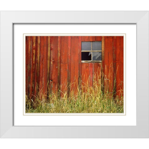 OR, Joseph, Grasses contrast with broken window White Modern Wood Framed Art Print with Double Matting by Terrill, Steve
