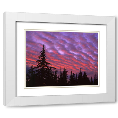 OR, Three Sisters, sunset clouds over forest White Modern Wood Framed Art Print with Double Matting by Terrill, Steve