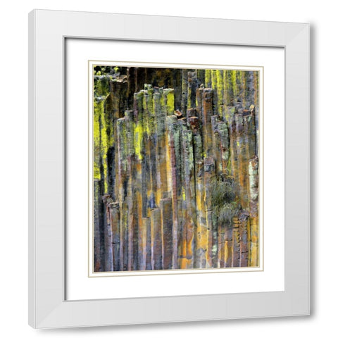 OR, Umpqua NF, Lichen-covered basalt formation White Modern Wood Framed Art Print with Double Matting by Terrill, Steve