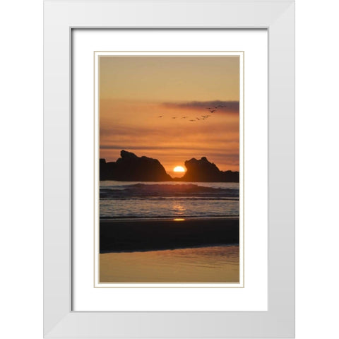 Oregon Birds fly over sunset between sea stacks White Modern Wood Framed Art Print with Double Matting by Rotenberg, Nancy