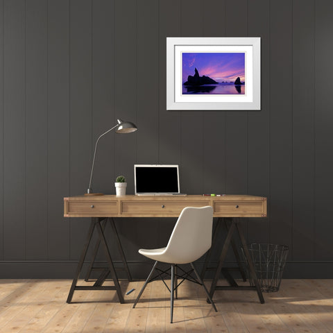 OR, Bandon Beach Silhouette of sea stacks White Modern Wood Framed Art Print with Double Matting by Illg, Cathy and Gordon
