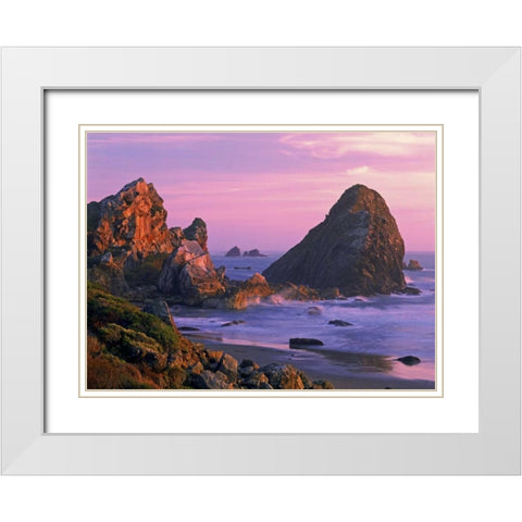 OR, Harris State Beach Sea stacks at sunset White Modern Wood Framed Art Print with Double Matting by Welling, Dave