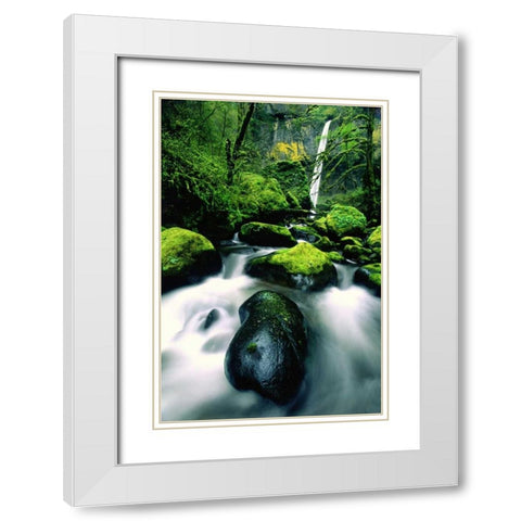 OR, Columbia Gorge Elowah Falls and boulders White Modern Wood Framed Art Print with Double Matting by Welling, Dave
