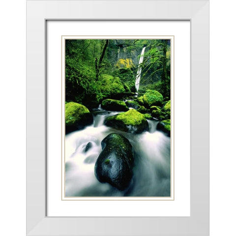 OR, Columbia Gorge Elowah Falls and boulders White Modern Wood Framed Art Print with Double Matting by Welling, Dave