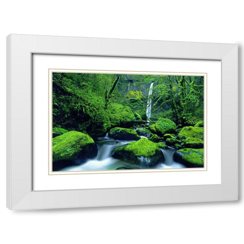 OR, Columbia Gorge Elowah Falls and boulders White Modern Wood Framed Art Print with Double Matting by Welling, Dave