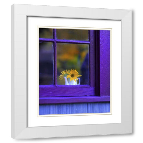 OR, Brownsville Sunflowers in a window White Modern Wood Framed Art Print with Double Matting by Terrill, Steve