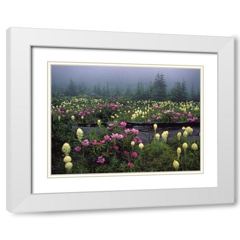 OR Meadow of rhododendrons and bear grass White Modern Wood Framed Art Print with Double Matting by Terrill, Steve