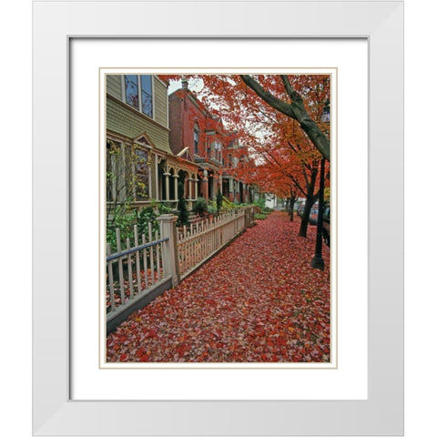 OR, Portland Autumn leaves litter sidewalk White Modern Wood Framed Art Print with Double Matting by Terrill, Steve