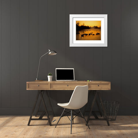 OR, Portland Waterfowl in Columbia Slough, White Modern Wood Framed Art Print with Double Matting by Terrill, Steve