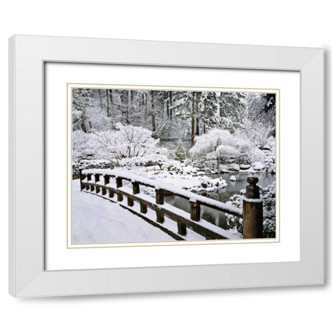 Oregon, Portland Winter snowfall in a Garden White Modern Wood Framed Art Print with Double Matting by Terrill, Steve