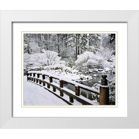 Oregon, Portland Winter snowfall in a Garden White Modern Wood Framed Art Print with Double Matting by Terrill, Steve
